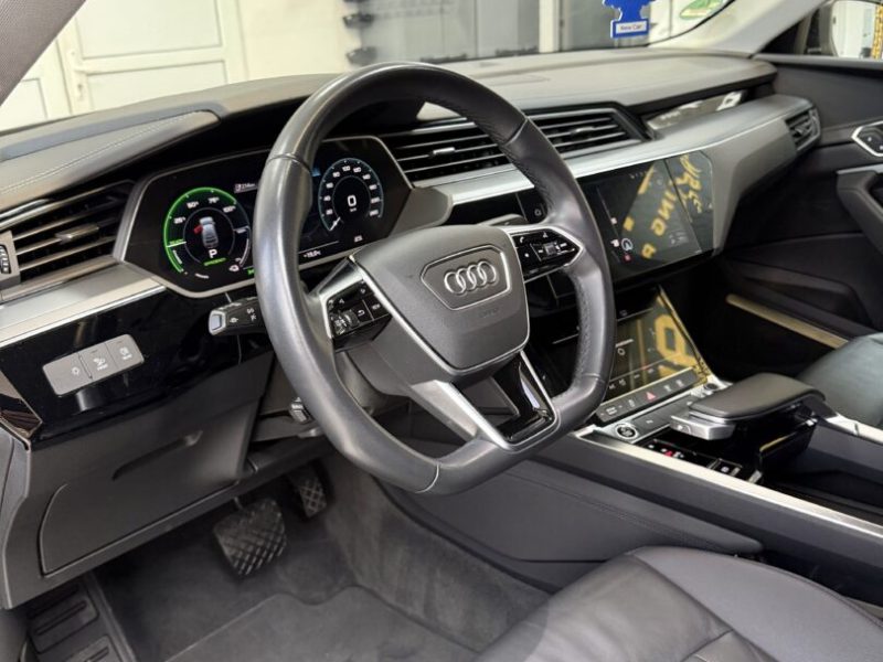 audi-q8-e-tron-coupe-2022-11-digital-gps-navi-matrix-led-s-line