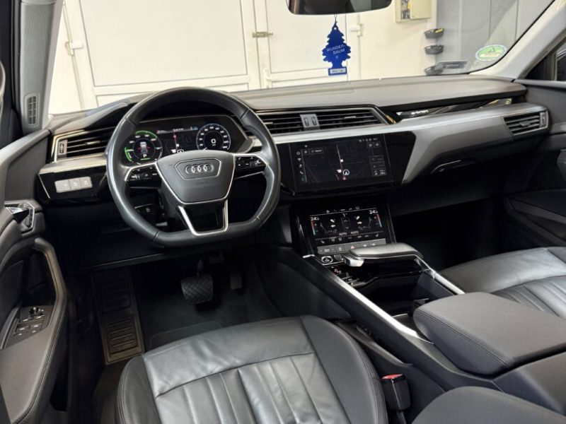 audi-q8-e-tron-coupe-2022-11-digital-gps-navi-matrix-led-s-line